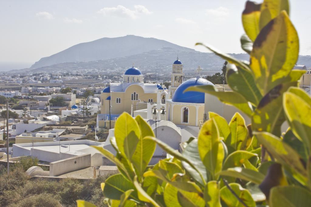 Nectarios Villa - Studios & Suites Adults Only Fira  Rum bild